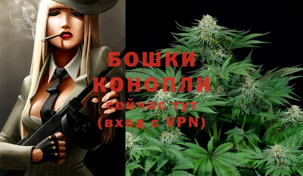 mdpv Болотное