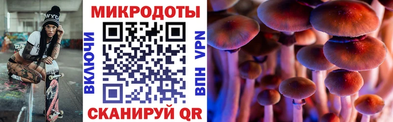 купить наркоту  MEGA онион  Галлюциногенные грибы Magic Shrooms  Карасук 